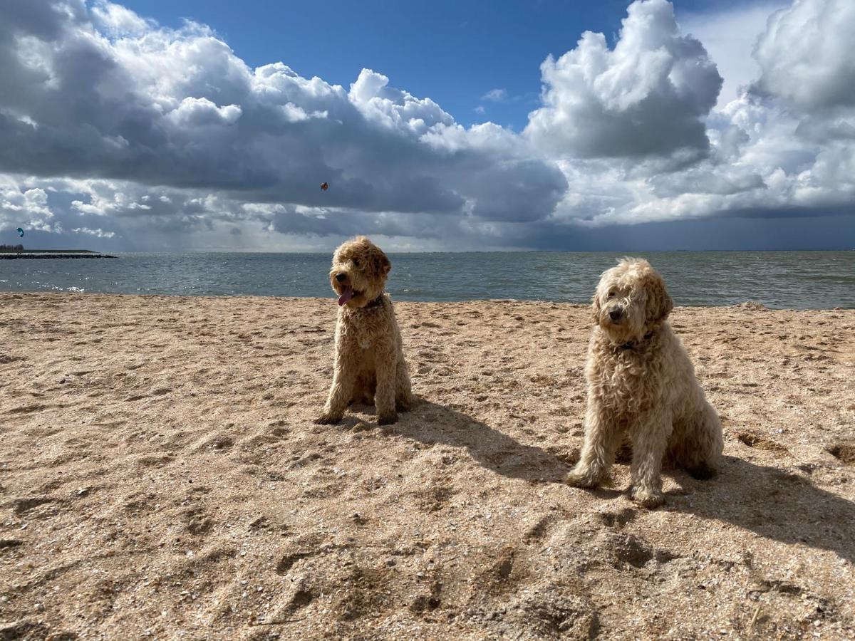 Holidayhome Geuzenhoeve Op De Munnickaij Schellinkhout エクステリア 写真