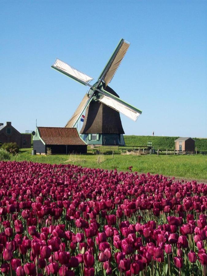 Holidayhome Geuzenhoeve Op De Munnickaij Schellinkhout エクステリア 写真